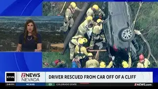 Driver rescued after car plummets off embankment