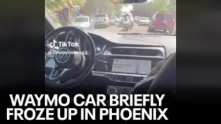 Driverless Waymo car freezes during trip