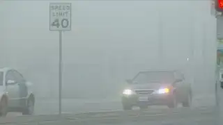 Driving During a Dense Fog Advisory
