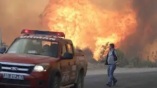 Drone footage captures devastation from wildfires in S Turkey