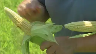 drought affecting cinnamon ridge farms