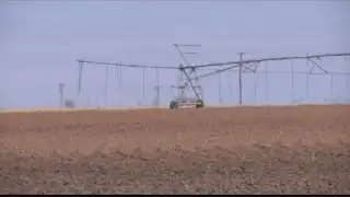 Drought continues as producers hope for rain