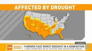 Drought devastating corn crops