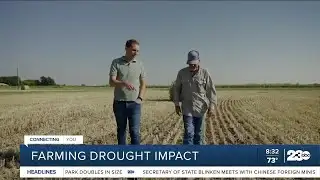 Drought impact on farming