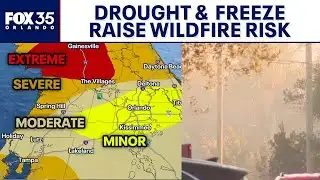 Drought, recent freeze raise wildfire risk across Florida