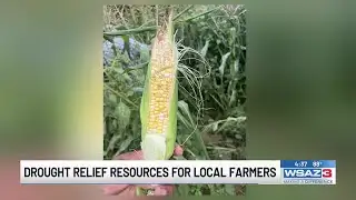 Drought relief resources for local farmers