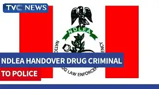 Drug Abuse Enable Criminal Behavior - NDLEA Spokesman