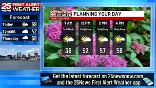 Dry and mild for the midweek