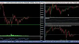 DSE & Forex Live Market Update