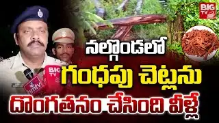 గంధపు చెట్లను దొంగతనం చేసింది వీళ్లే | DSP About Sri Gandham Trees Robbery In Nalgonda | BIG TV