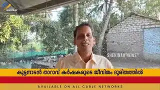 Duck farmers starve due to bird flu