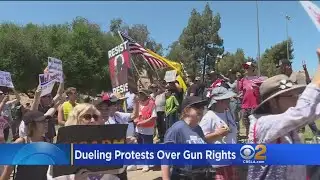 Dueling Protests Over Gun Rights In Orange County