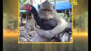 Dunya News - HASB-E-HAAL -13-06-2013 -- Part 4/5