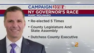 Dutchess County Exec Molinaro To Run For Governor