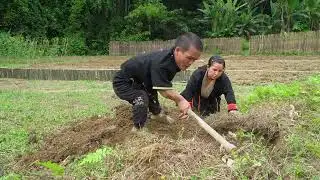 Dwarf Family Primitive Life  While the garden, suddenly discovered a snake nest
