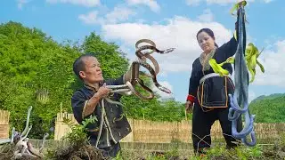 Dwarf Family Primitive Life: While the garden, suddenly discovered a snake nest.