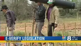 E-Verify legislation continues to morph in the Senate