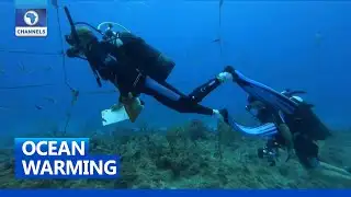 Earthfile | Ocean Warming | 07/04/2021
