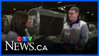 Easily manage holiday shipping with FedEx