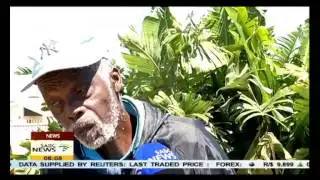 EC Social Dev  assessing shacks fire which happened over the weekend