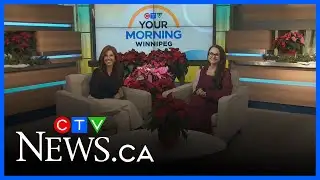 Efficiency Manitoba’s tips for saving energy over the holidays