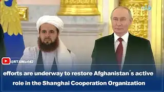 efforts are underway to restore Afghanistan’s active role in the Shanghai Cooperation Organization