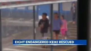 Efforts expand to stop Hawaii