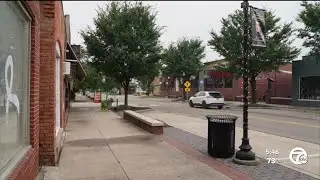Efforts underway to boost tourism and revitalize downtown Romulus