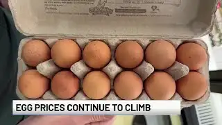 Egg prices continue to climb in Colorado