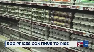 Egg prices continue to rise