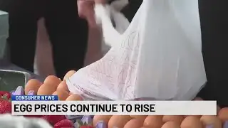 Egg prices continue to rise