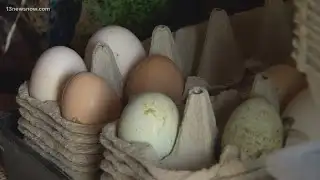 Egg prices continue to skyrocket. Here