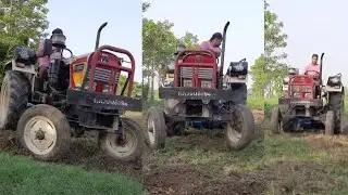 eicher 557, eicher 333, eicher 551, eicher 242 tractor #eicher557#eicher241#ट्रैकटर#shorts#eicher380