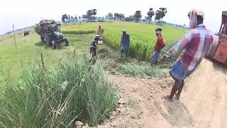 Eicher 5660 tractor stuck in load tolly @HrMotors