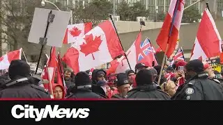 Eight arrested during protests and counter-protests at 