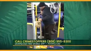 Elderly Man Assaulted During Bag Snatching in Waipahu