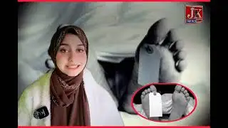 Elderly Man Dies After Tree Falls on Him in Bandipora 