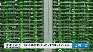Electricity bills up 7%; experts share ways to reduce rising energy costs