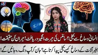 Electricity from Human Brain? | Shocking Scientific Discovery | News One Plus