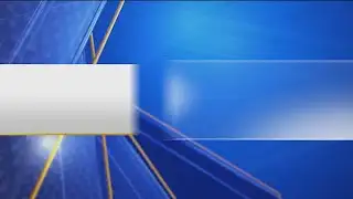 Elementary school counselor, dog partnering to provide emotional support to students, staff