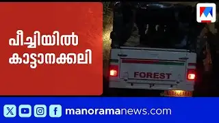 തൃശൂർ പീച്ചിയിൽ കാട്ടാന ആക്രമണം: യുവാവ് കൊല്ലപ്പെട്ടു, പ്രതിഷേധവുമായി നാട്ടുകാർ | Elephant Attack