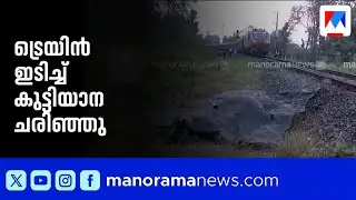 വാളയാറിൽ ട്രെയിൻ ഇടിച്ച് മൂന്ന് വയസ്സുള്ള കുട്ടിയാന ചരിഞ്ഞു | Elephant | Palakkad