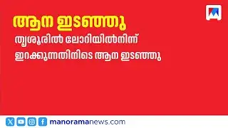 തൃശ്ശൂരിൽ ലോറിയിൽ നിന്ന് ഇറക്കുന്നതിനിടെ ആന ഇടഞ്ഞു; വ്യാപക നാശനഷ്ടം | Elephant | Thrissur