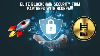 Elite Blockchain Security Firm Partners With Hedera!!!