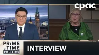 Elizabeth May explains why she voted for the budget