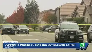 Elk Grove neighbors in shock after 11-year-old boy killed