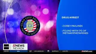 Elko traffic stop leads to arrest on gun charges