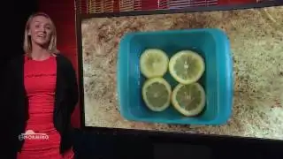 ELN Morning: Spring Cleaning