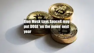 Elon Musk says SpaceX may put DOGE 