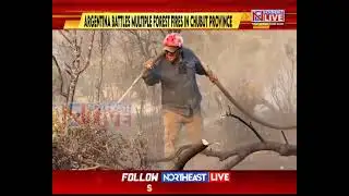 Emergency in Argentina After Raging Forest Fires Near Cholila